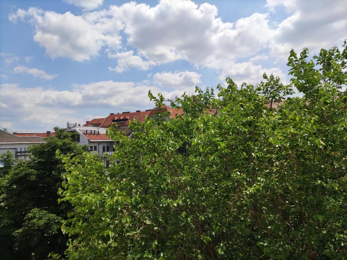 Park View, Close To River, Ac, Bauhaus Vibe, 2 Balconies Βουδαπέστη Εξωτερικό φωτογραφία